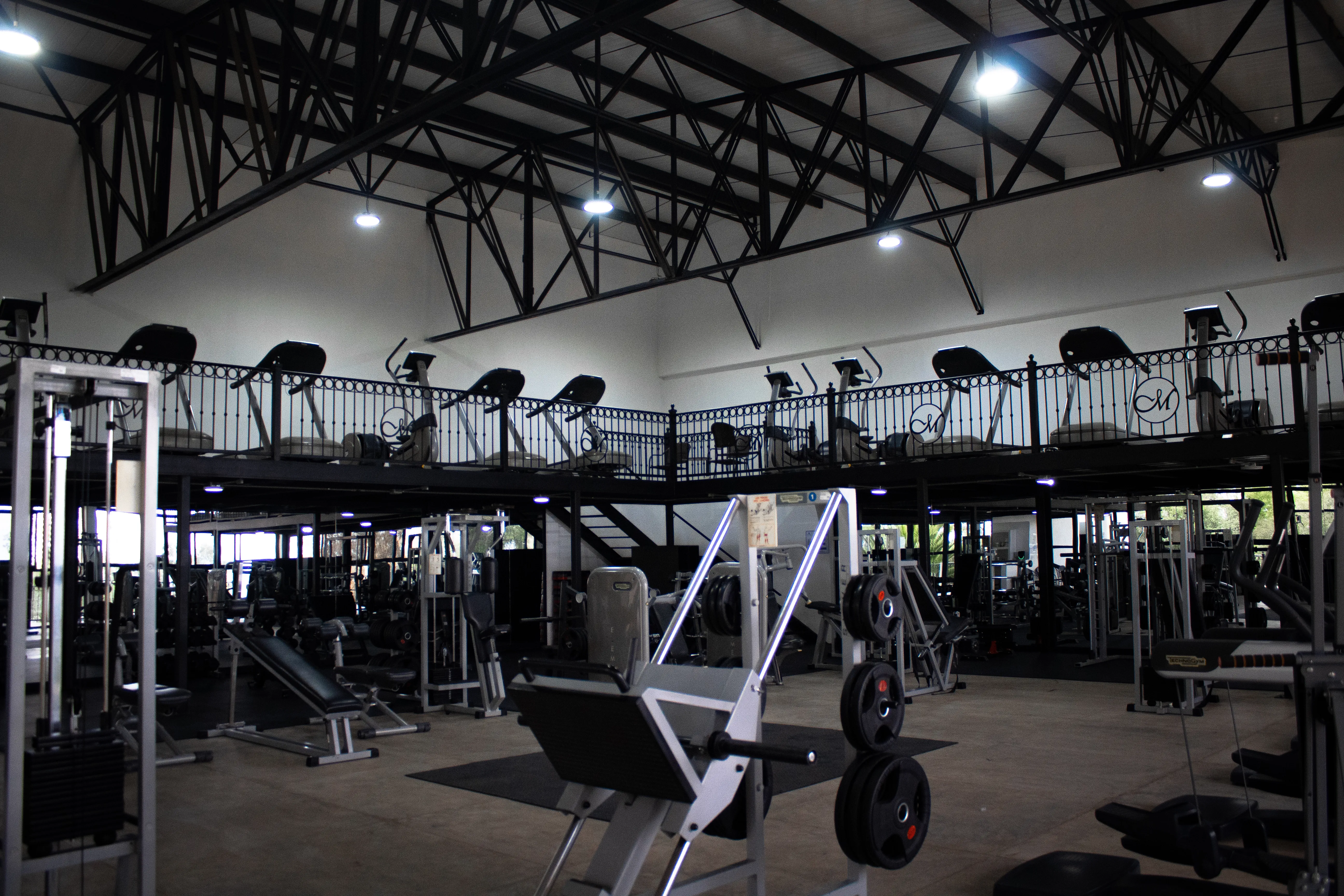 Canchas De Gimnasio