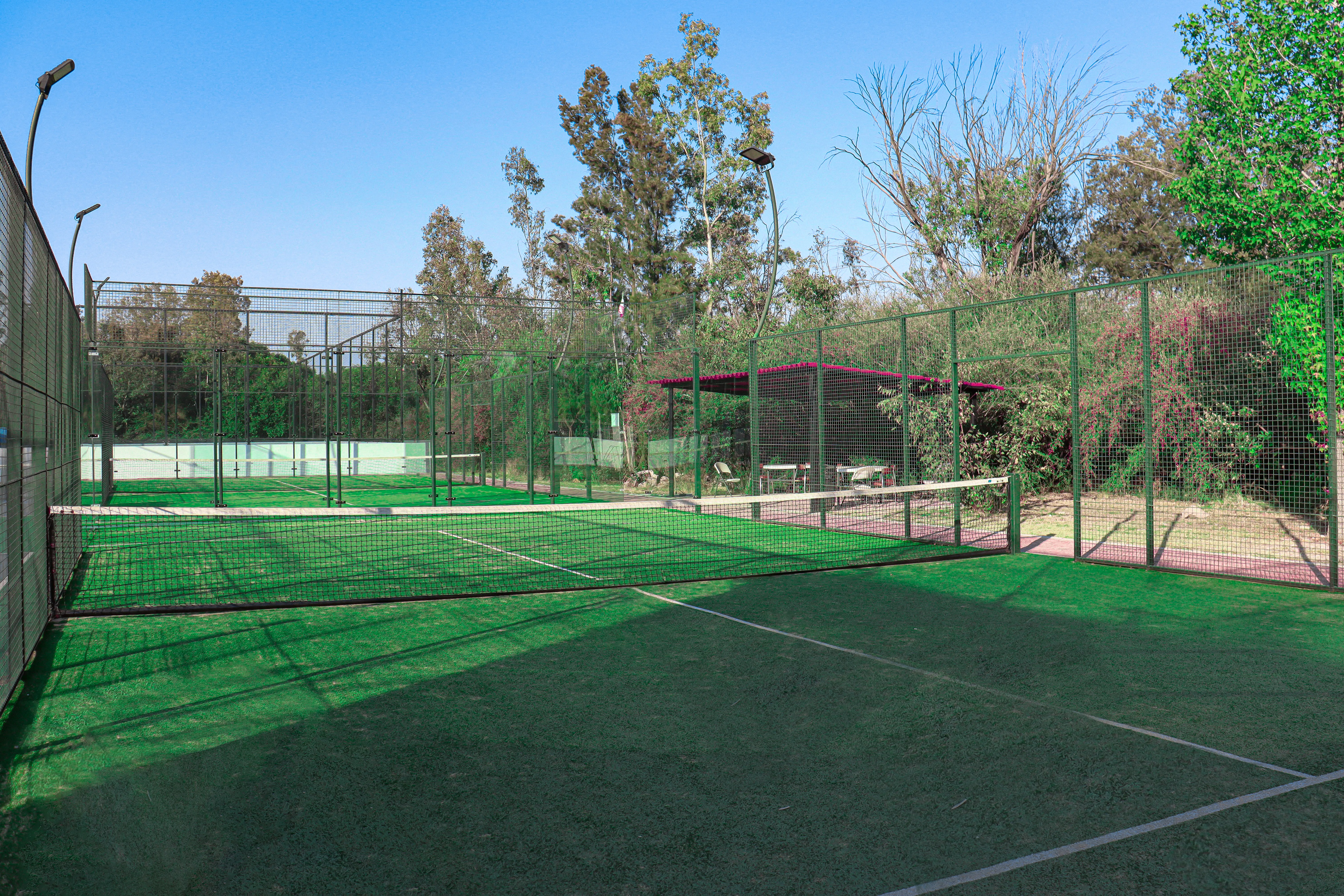 Canchas De Padel
