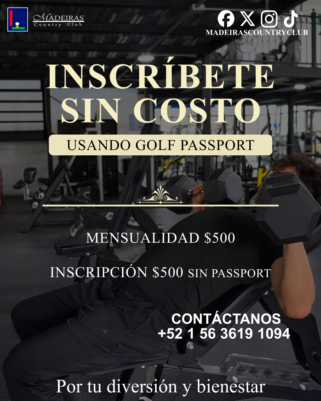 Imagen promocional del sitio